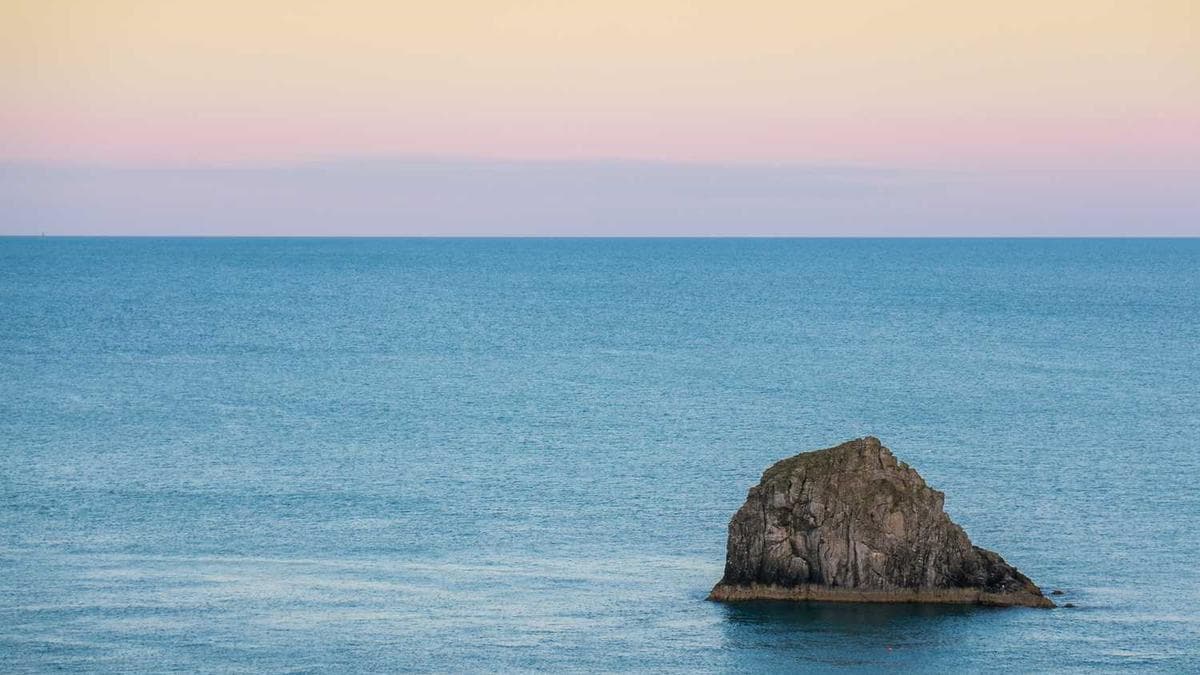 Visit Jose's LinkedIn Profile